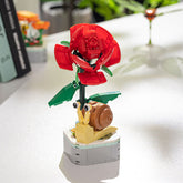 Flowers & Animal - Blocks Boy