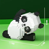 48488431747370|48488431845674