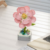 Flowers Bonsai - Blocks Boy