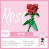 47522772484394|47522772517162|47522772549930|47522772582698