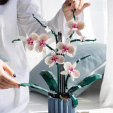 48485325504810|48485325537578