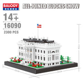 White House - Blocks Boy
