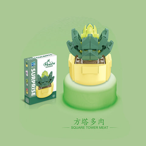 Succulent - Blocks Boy