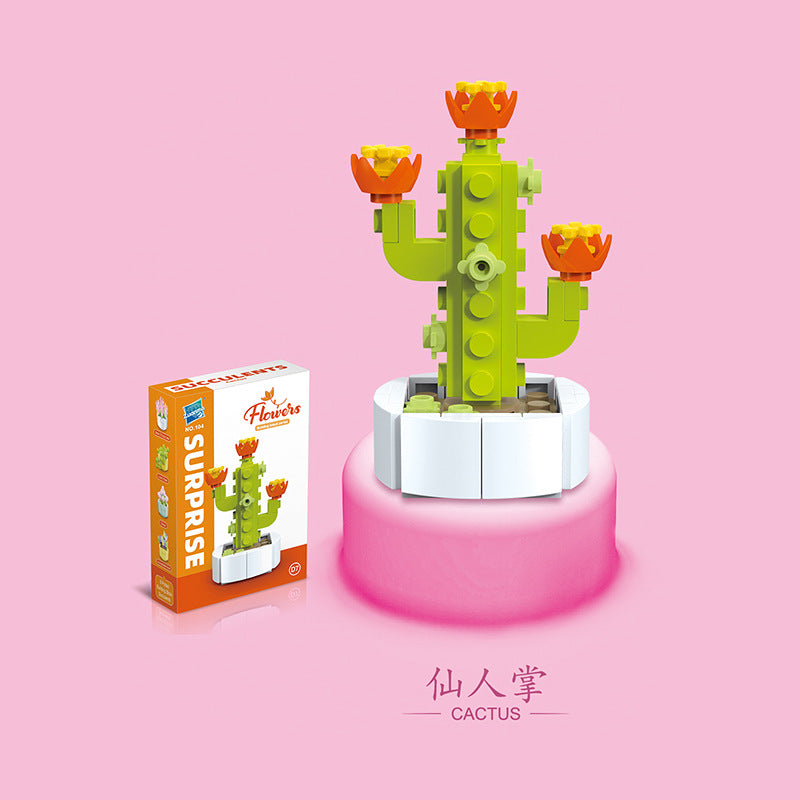 Succulent - Blocks Boy